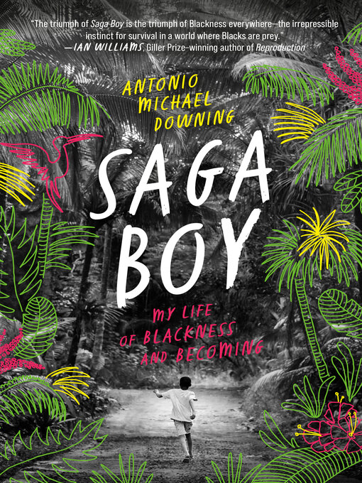 Cover image for Saga Boy